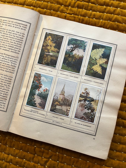 Friesland Verkade Bilderalbum 1918