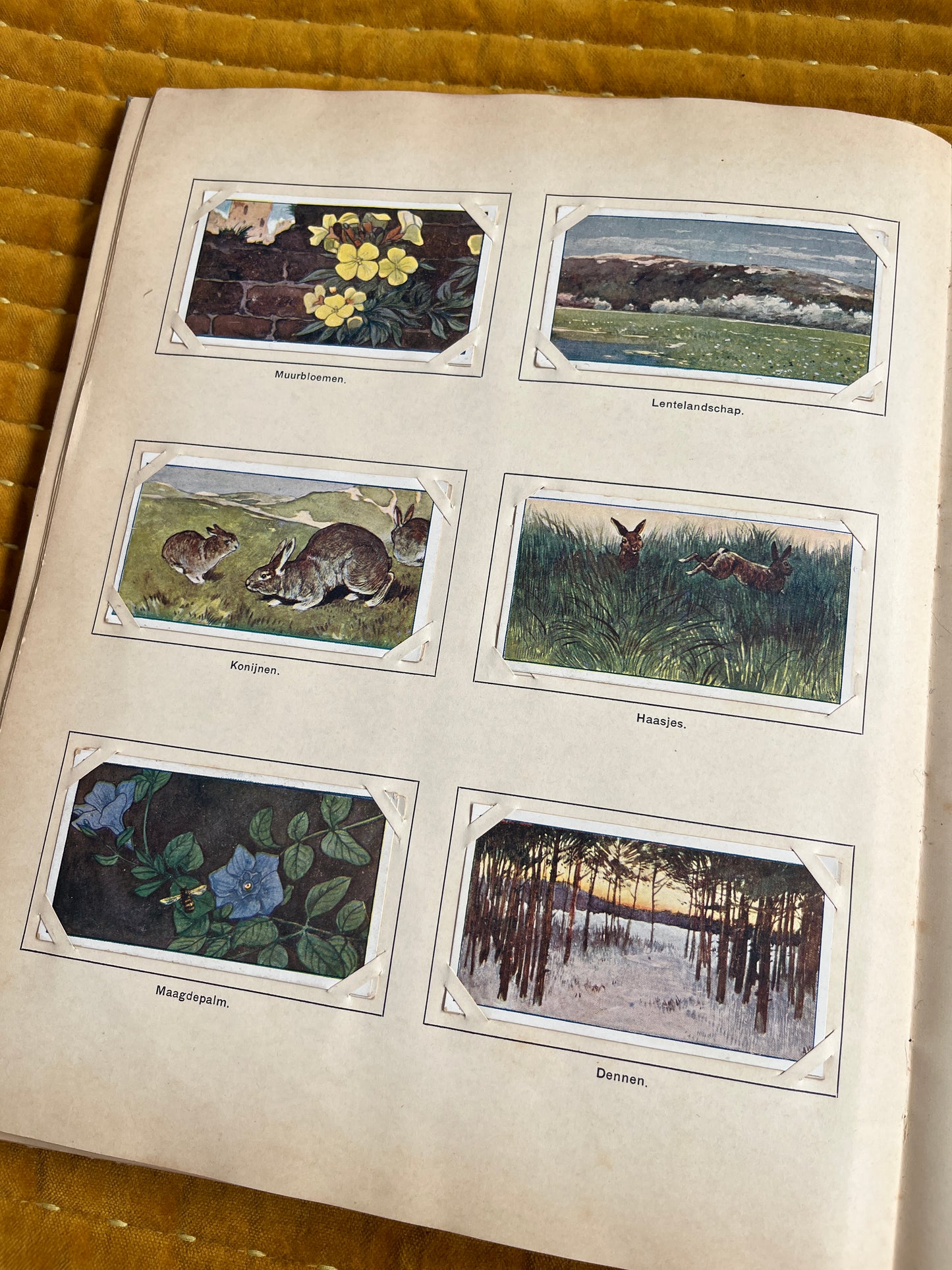 Lente Verkade Plaatjesalbum 1906