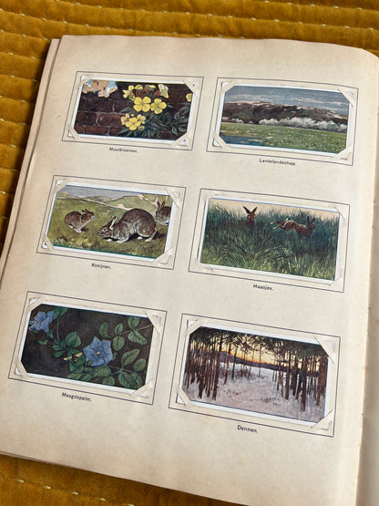 Lente Verkade Plaatjesalbum 1906