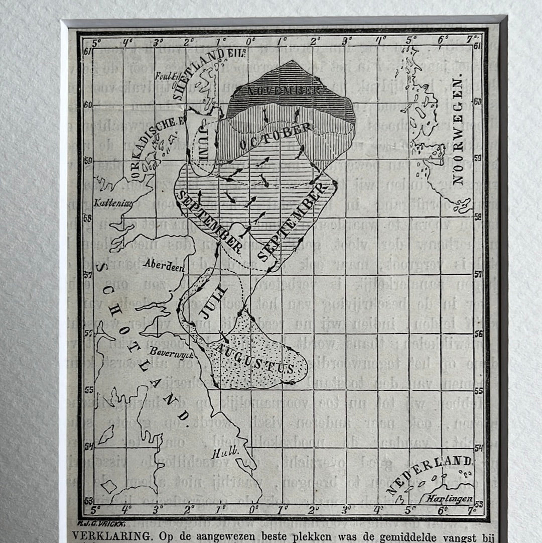 Karte des Heringsfangs 1875