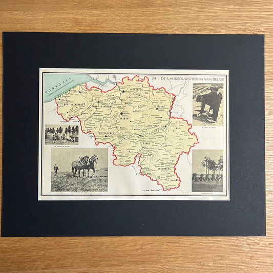 Die Agrarregionen Belgiens 1939
