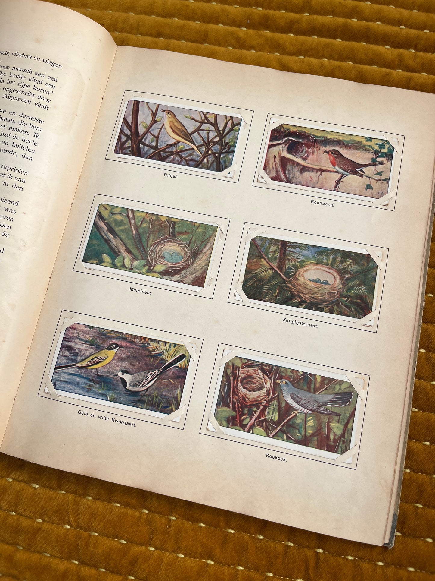 Lente Verkade Plaatjesalbum 1906