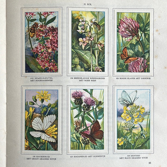 6 Verkade plaatjes De bloemen en haar vrienden 1934 (133-138)