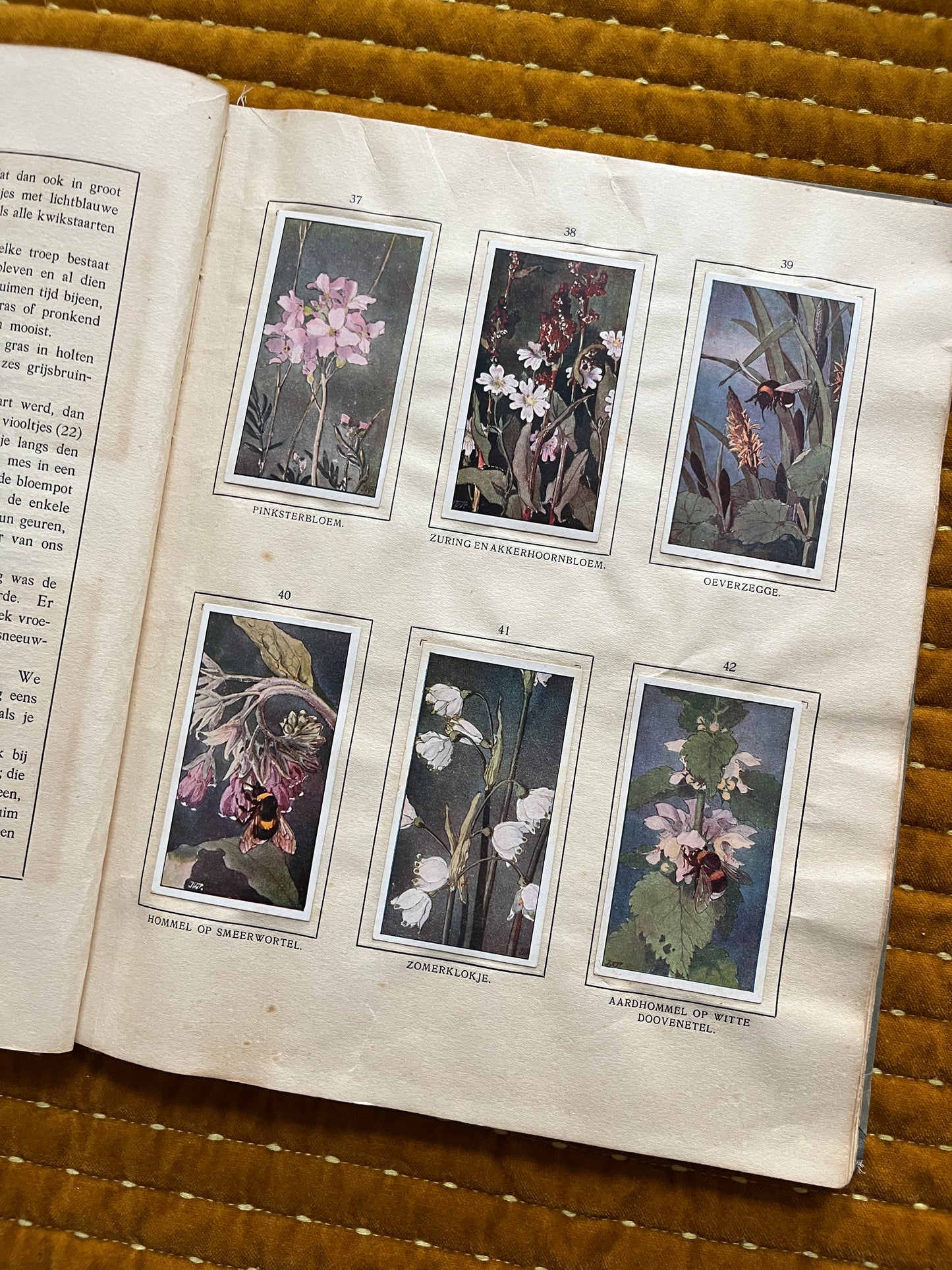 Das Bonte Wei Verkade-Bilderalbum 1911