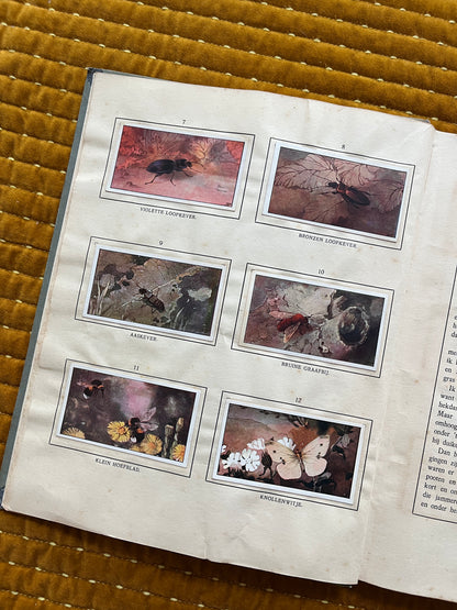 Das Bonte Wei Verkade-Bilderalbum 1911