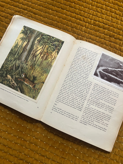 Java. Onze zendingsvelden plaatjesalbum 1940