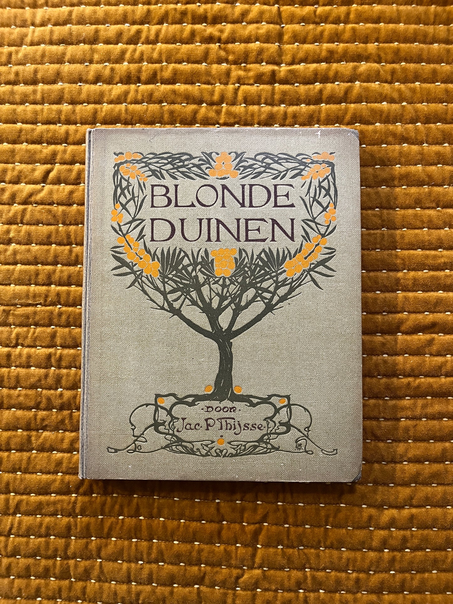 Blonde Duinen Verkade Plaatjesalbum 1910