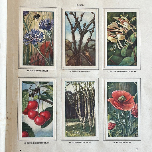 6 Verkade plaatjes Hans de Torenkraai 1935 (85-90)