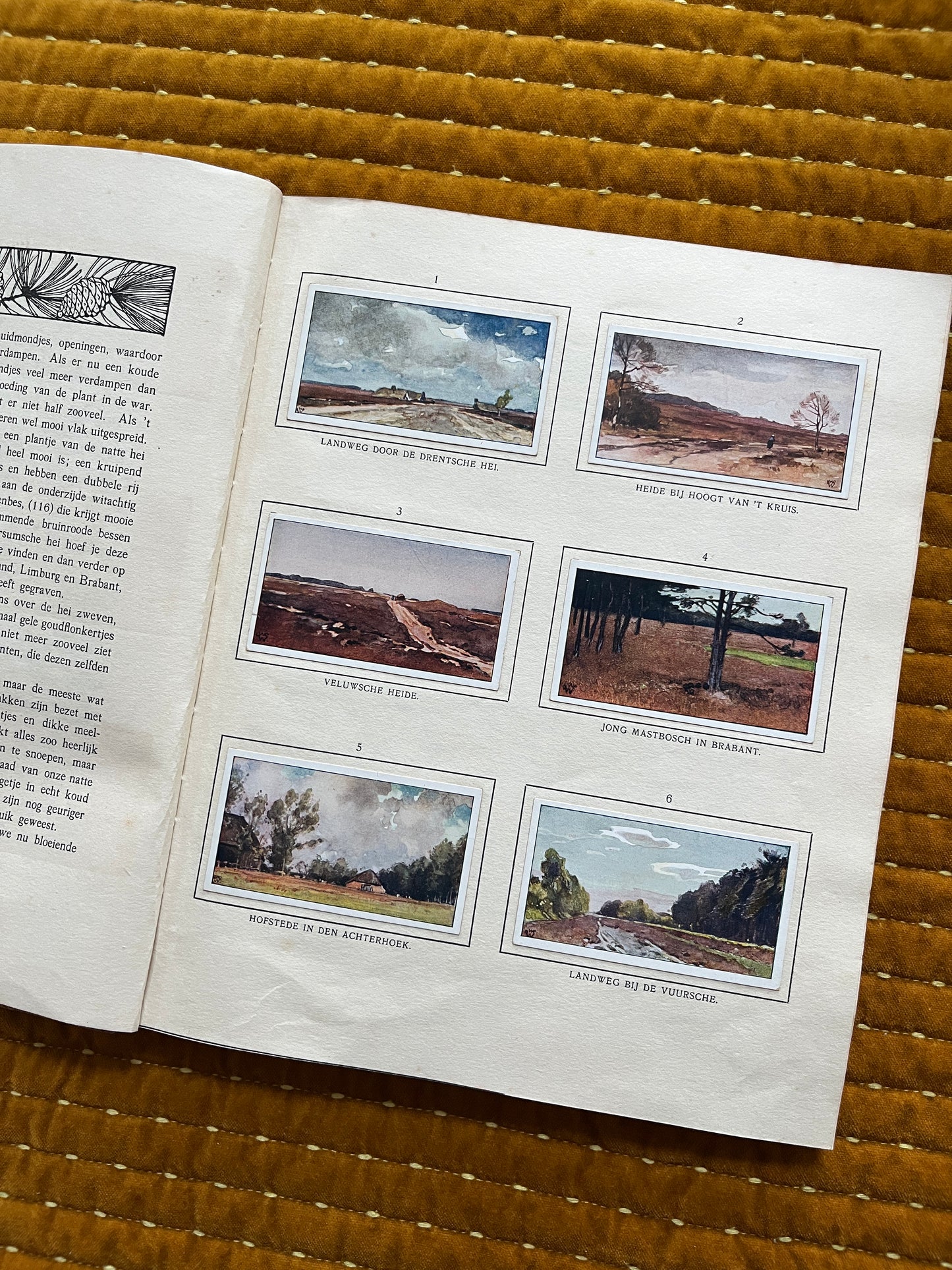 Bosch en Heide Verkade Plaatjesalbum 1913