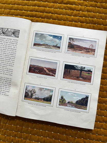 Bosch en Heide Verkade Plaatjesalbum 1913