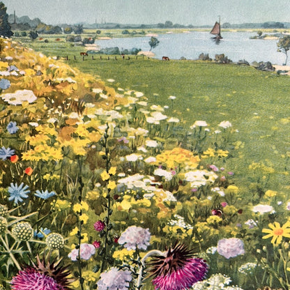 Plate 17: Dike slope with flowers, 1938