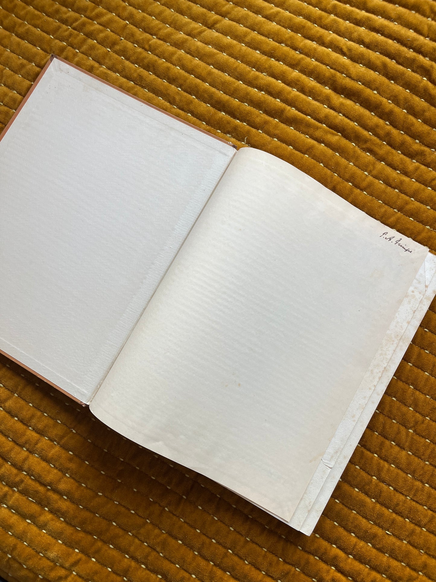 Cactus-Album Plaatjesalbum