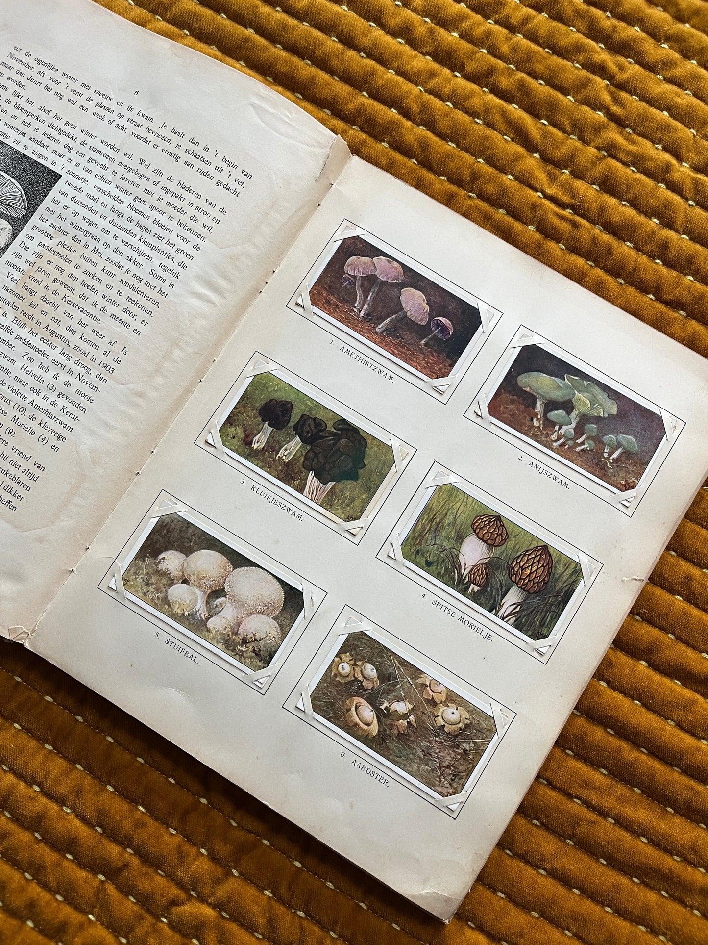 Winter Verkade Plaatjesalbum 1909