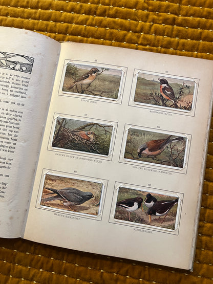 Blonde Duinen Verkade Plaatjesalbum 1910