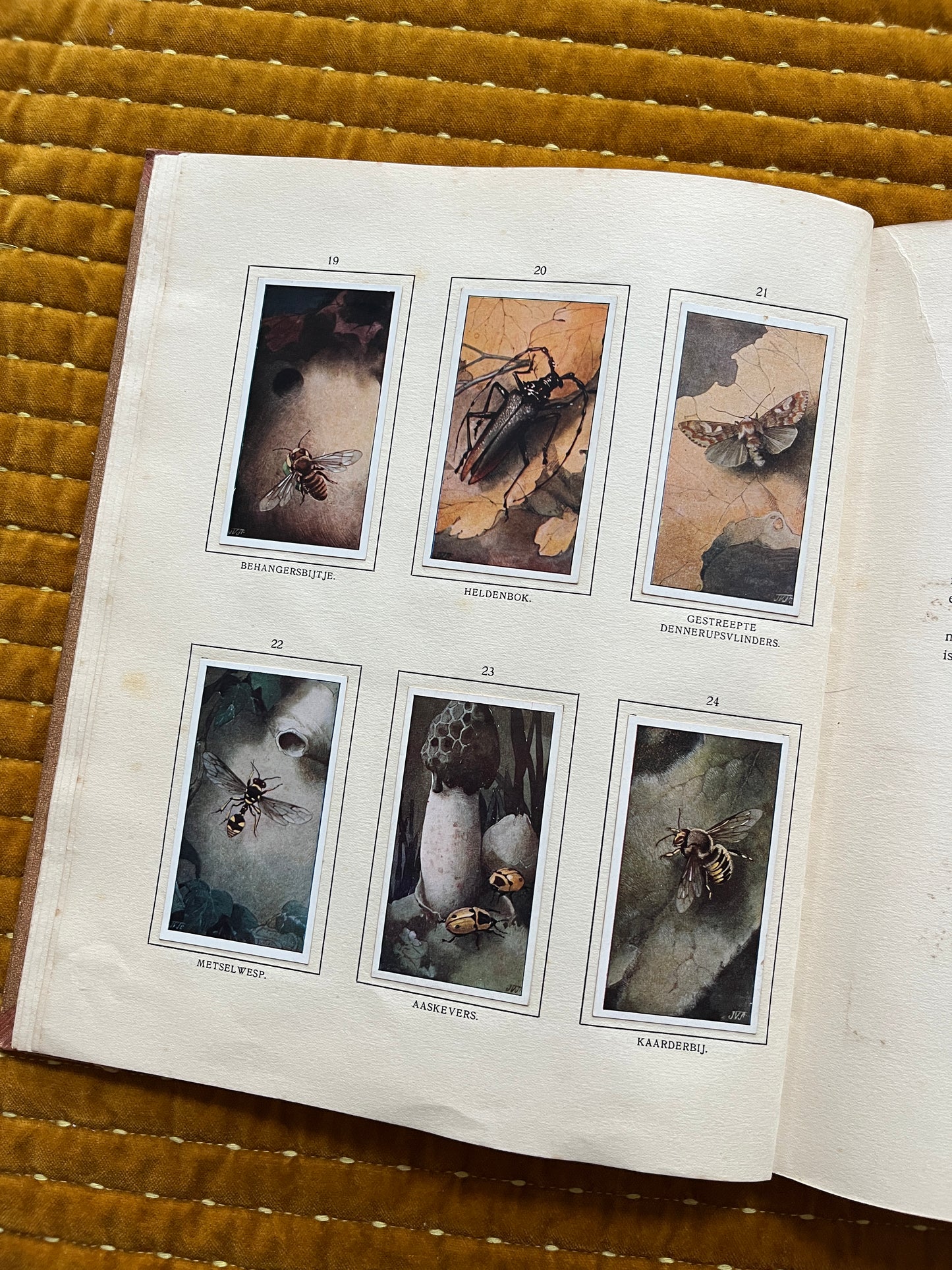 Bosch en Heide Verkade Plaatjesalbum 1913