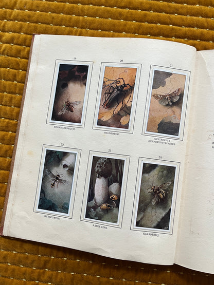 Bosch en Heide Verkade Plaatjesalbum 1913