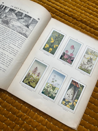 Zomer Verkade Plaatjesalbum 1907 (derde druk)