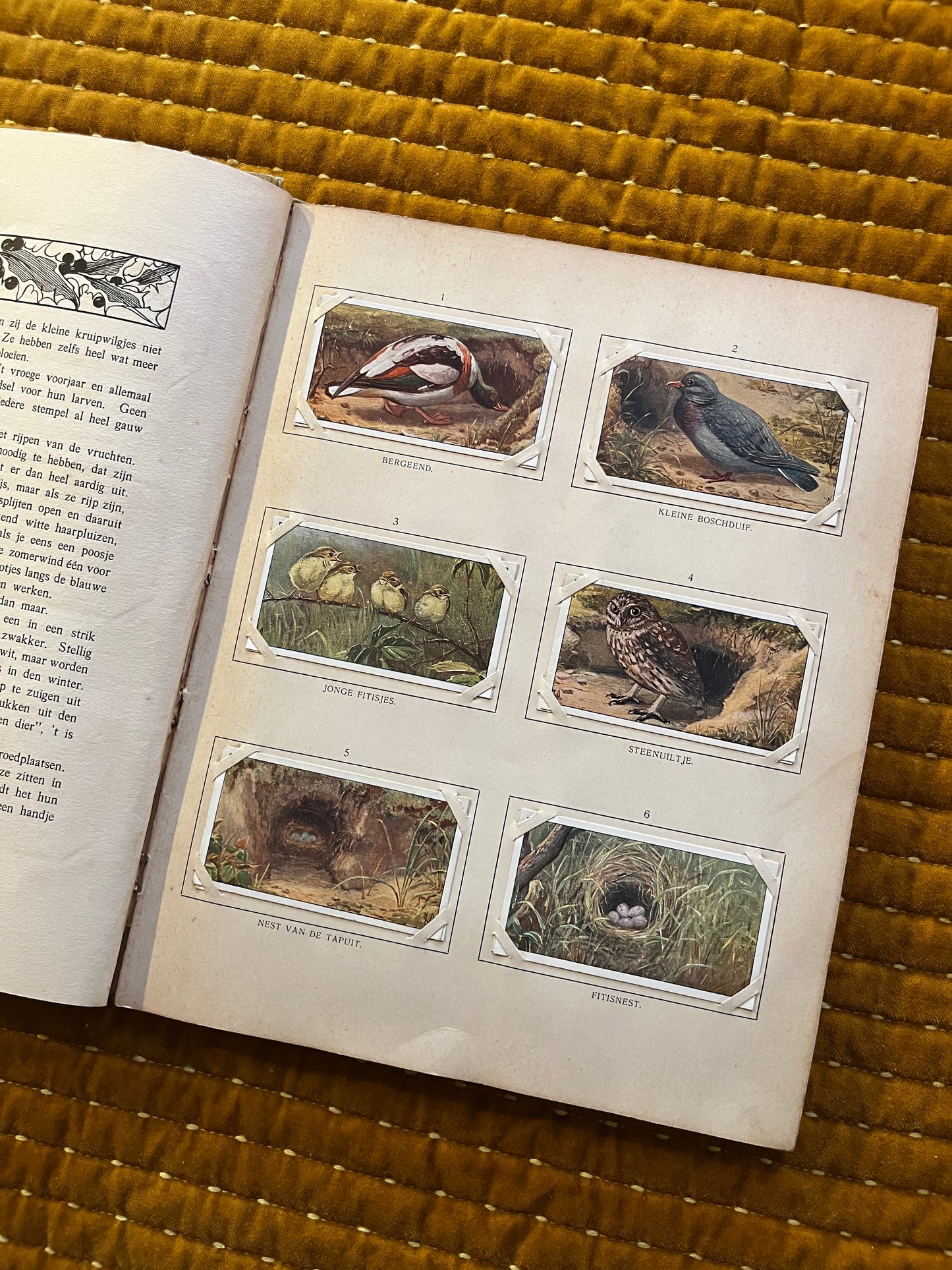 Blonde Duinen Verkade Plaatjesalbum 1910