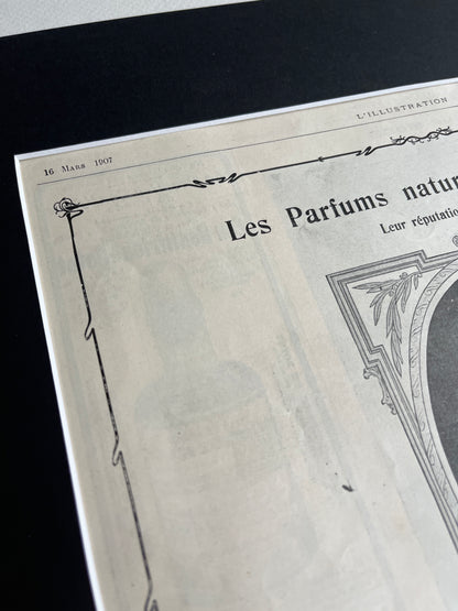 Franse reclame: Les Parfums naturals de Lenthéric (L’illustration uit 1907)