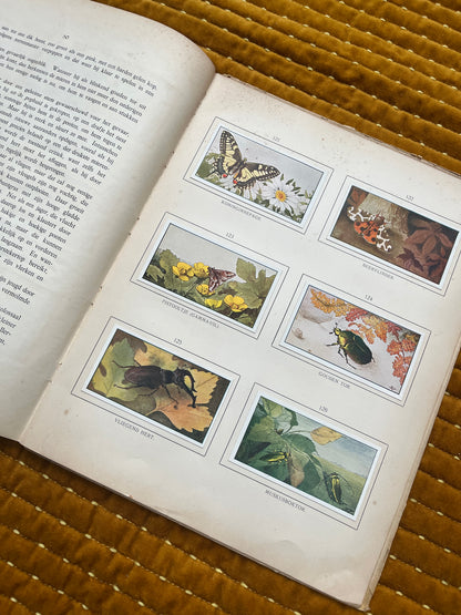 Zomer Verkade Plaatjesalbum 1907 (derde druk)