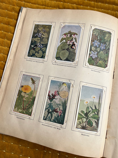 Lente Verkade Plaatjesalbum 1906