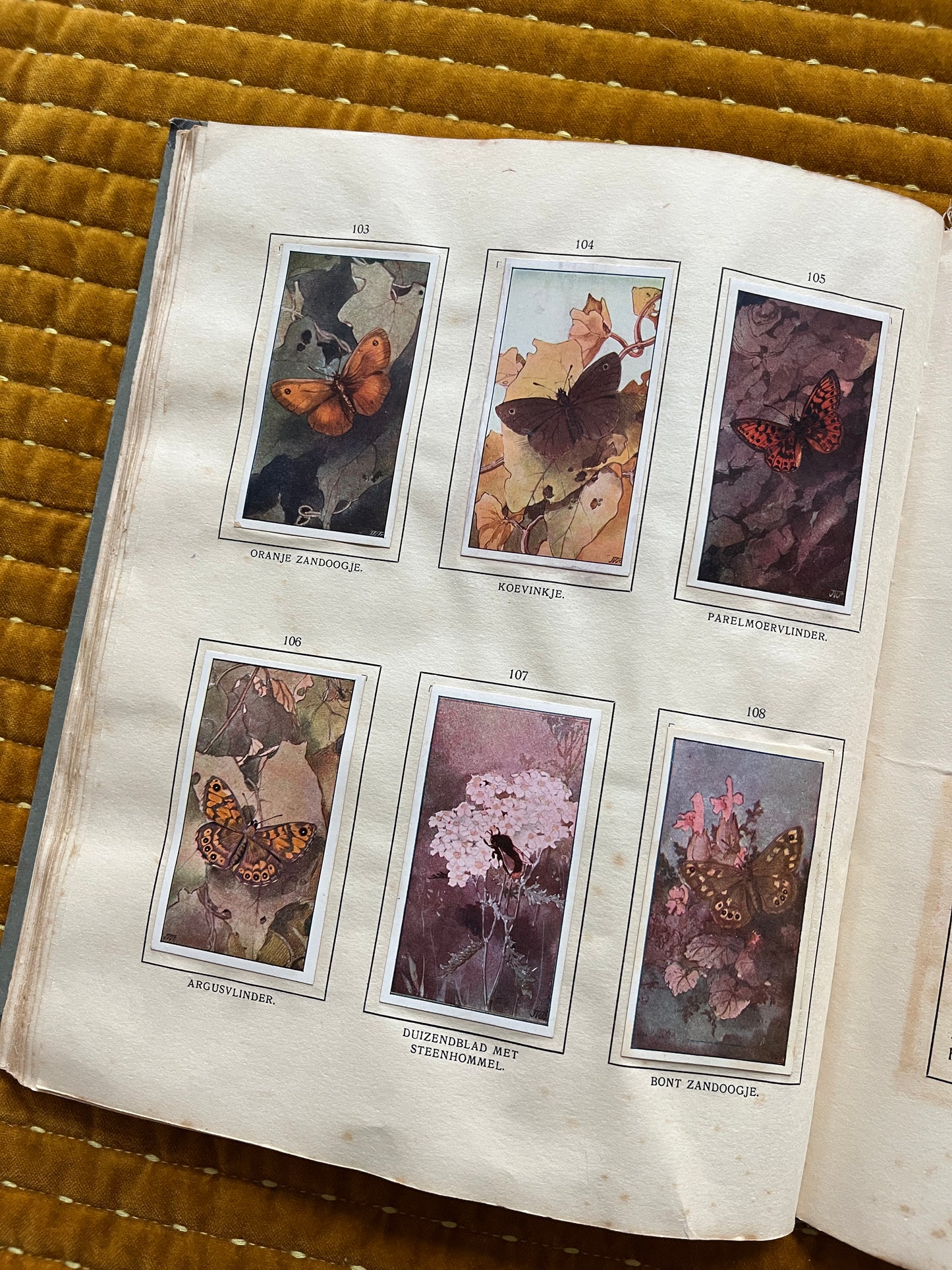 Das Bonte Wei Verkade-Bilderalbum 1911