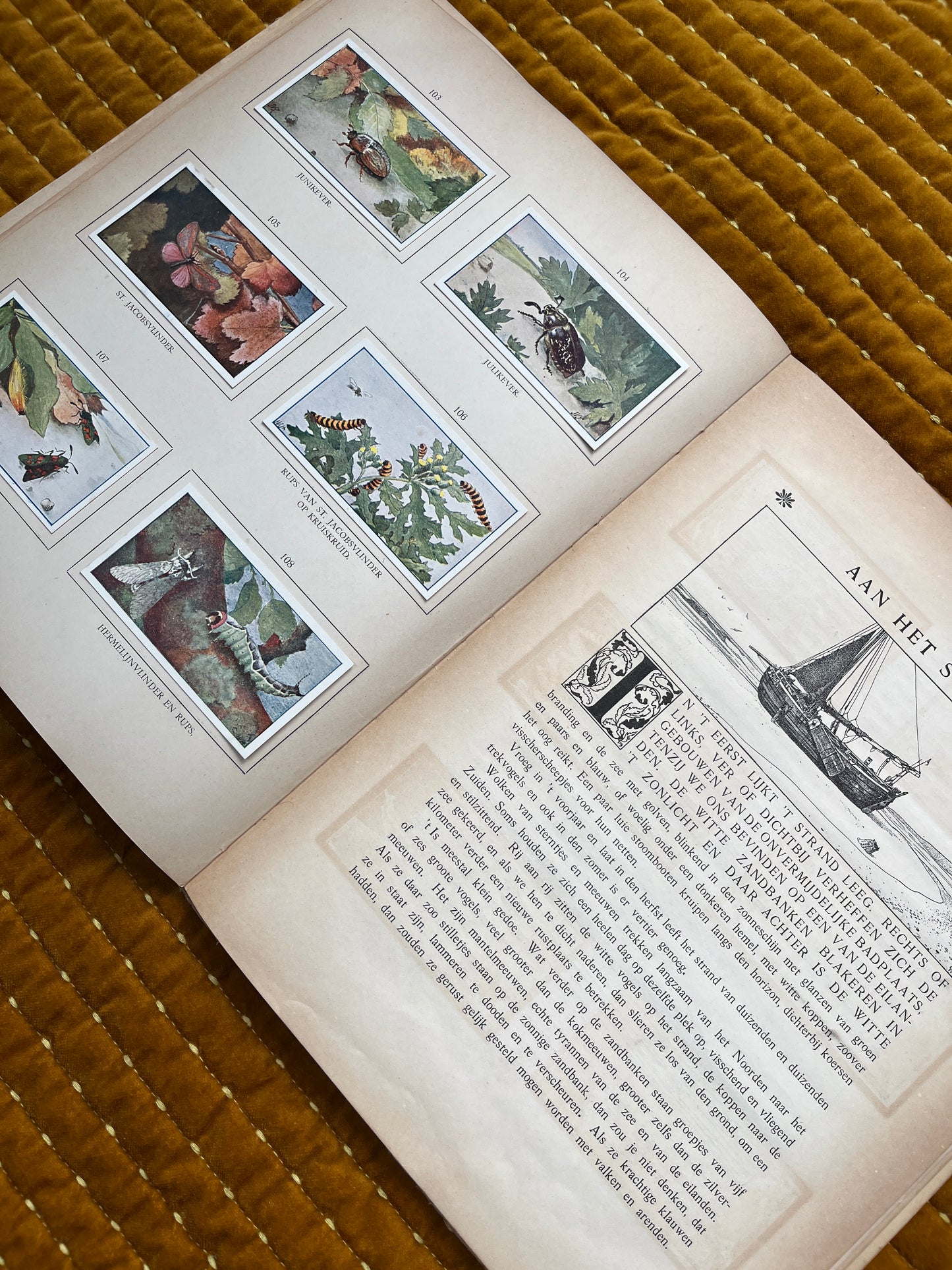 Zomer Verkade Plaatjesalbum 1908 (tweede druk)