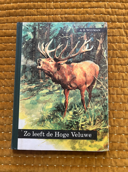 So lebt die Hoge Veluwe – Fotoalbum 1960