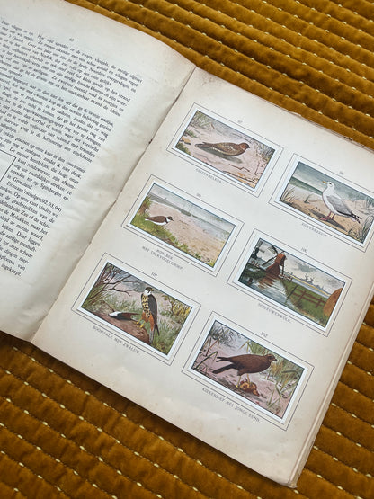 Zomer Verkade Plaatjesalbum 1907 (derde druk)