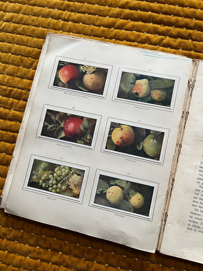 Herfst Verkade Plaatjesalbum 1910