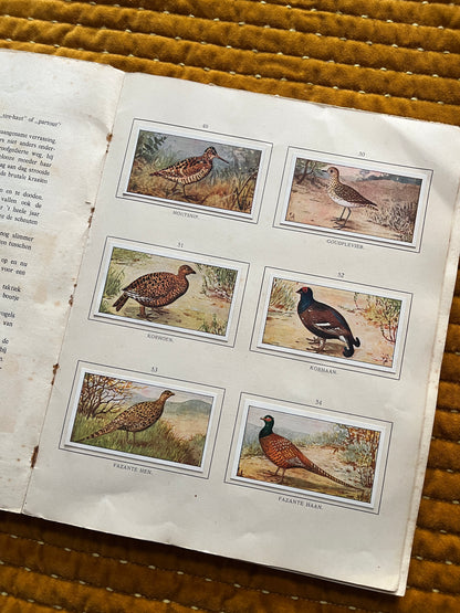 Herfst Verkade Plaatjesalbum 1910