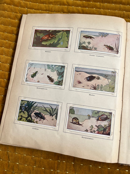 Lente Verkade Plaatjesalbum 1906