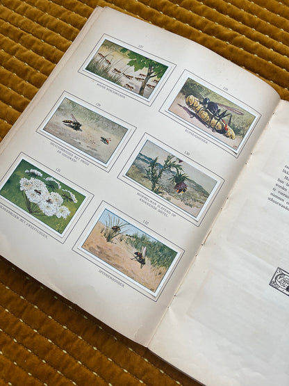 Zomer Verkade Plaatjesalbum 1907 (derde druk)