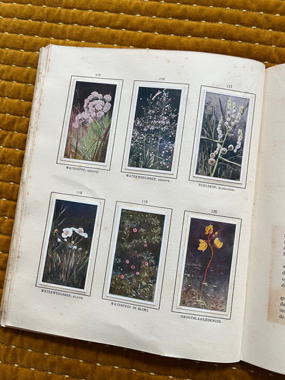 Das Naardermeer Verkade-Bilderalbum 1912