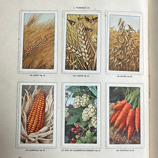 6 Verkade plaatjes De boerderij 1936 (123-128)