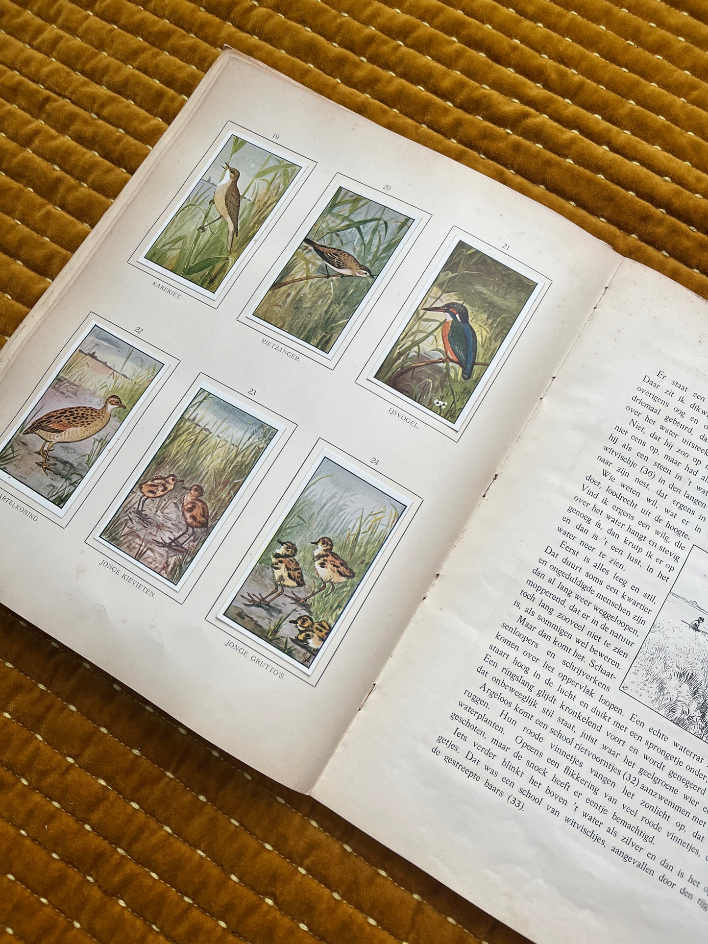 Zomer Verkade Plaatjesalbum 1907 (derde druk)