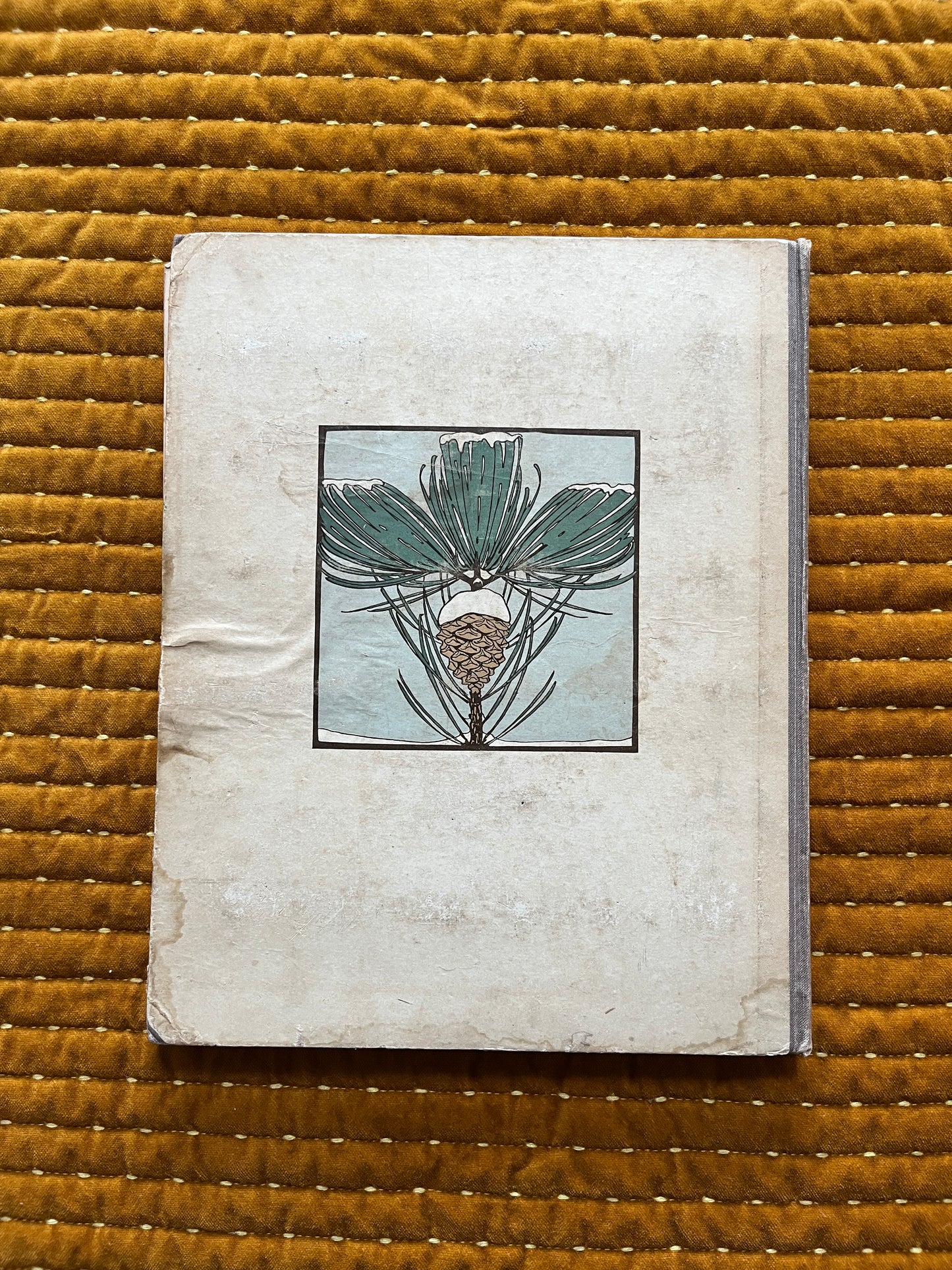 Winter Verkade Plaatjesalbum 1909