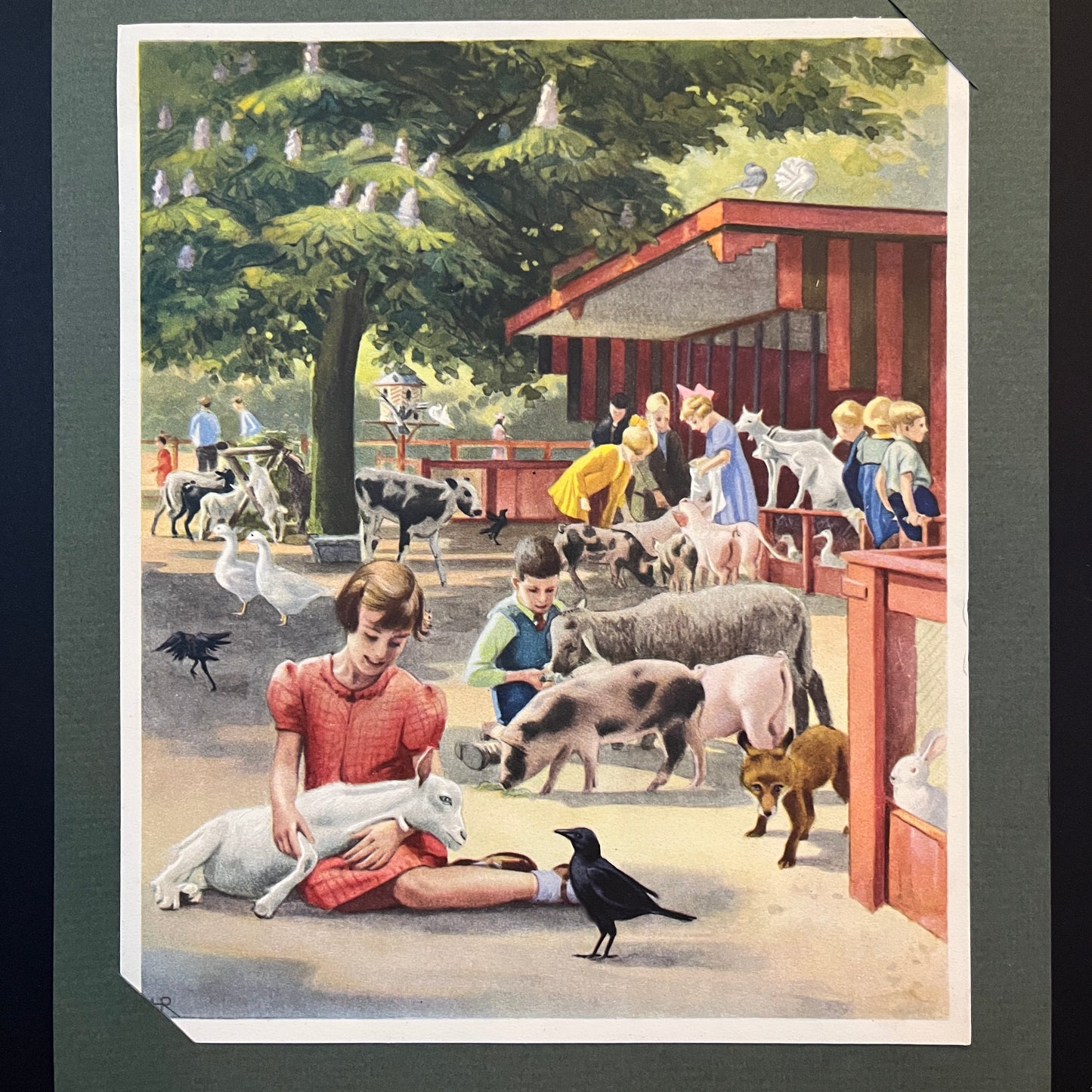 Plaat A. Kinder-dierentuin. Uit het Verkade album 'Dierenleven in Artis' uit 1938.