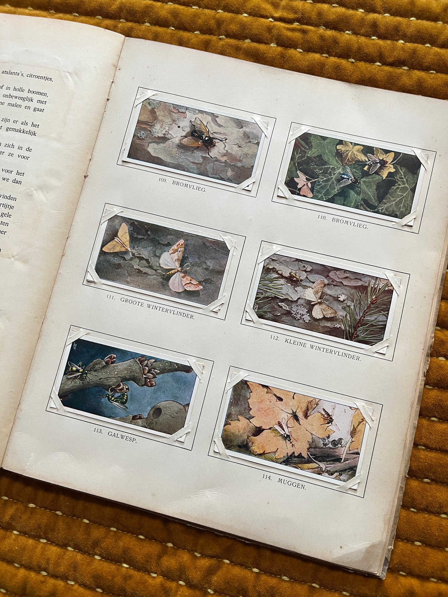 Winter Verkade Plaatjesalbum 1909