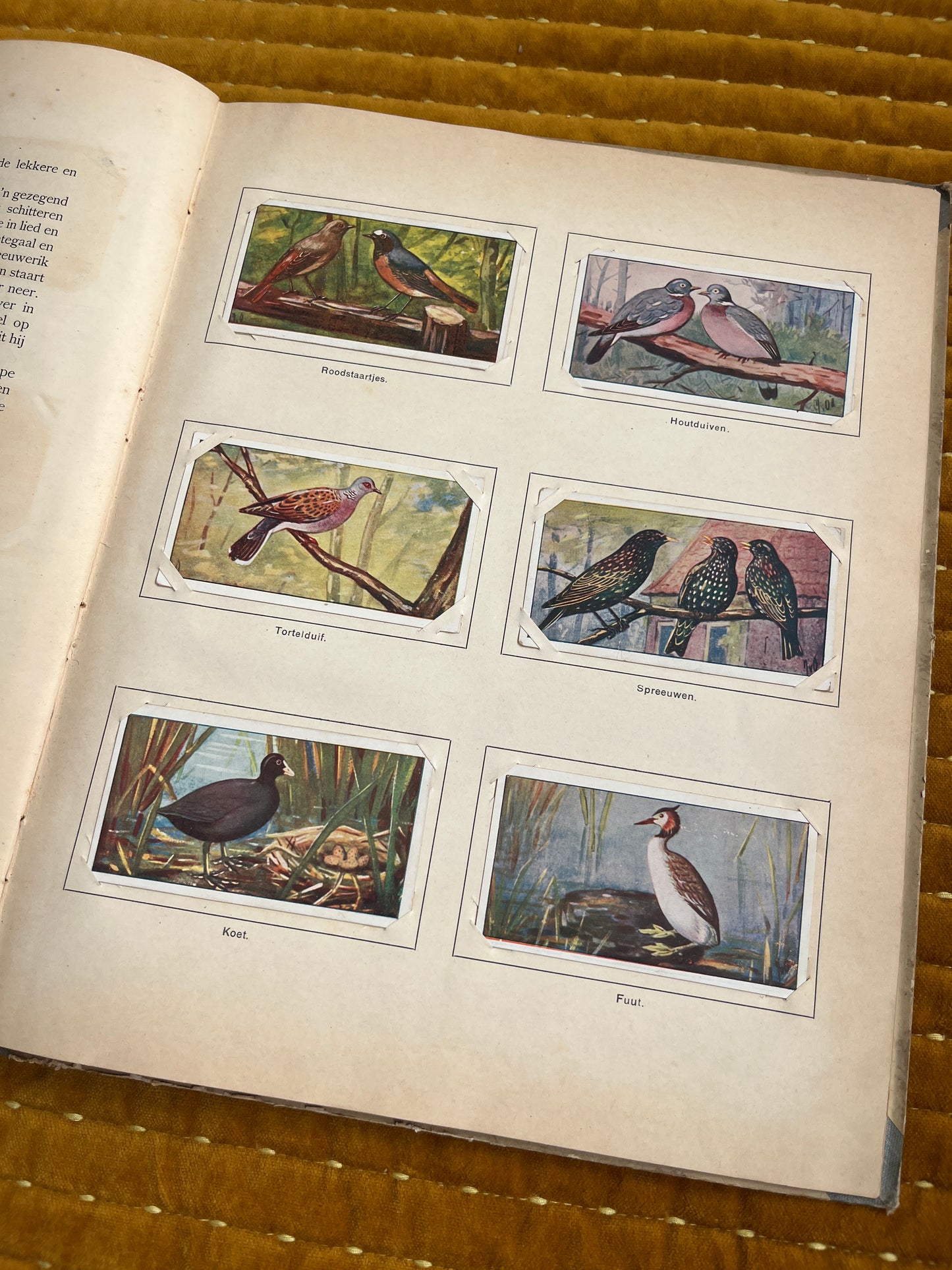 Lente Verkade Plaatjesalbum 1906