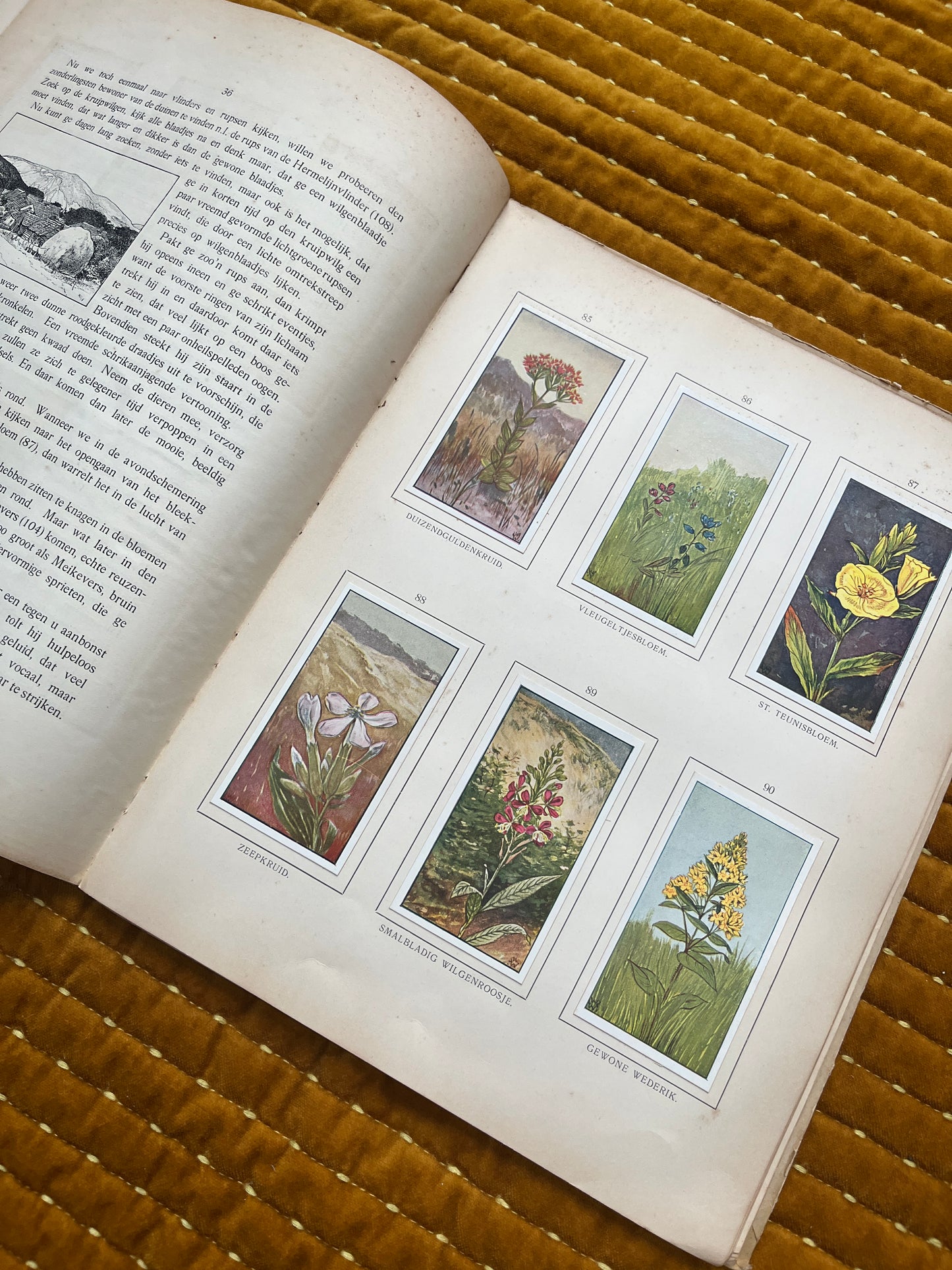 Zomer Verkade Plaatjesalbum 1907 (derde druk)