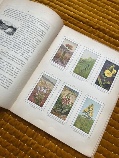 Zomer Verkade Plaatjesalbum 1907 (derde druk)