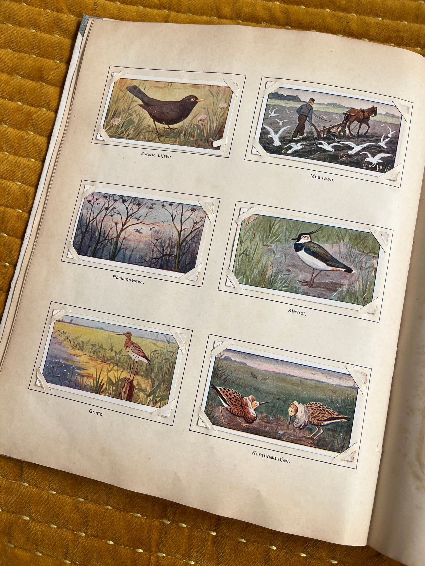 Lente Verkade Plaatjesalbum 1906