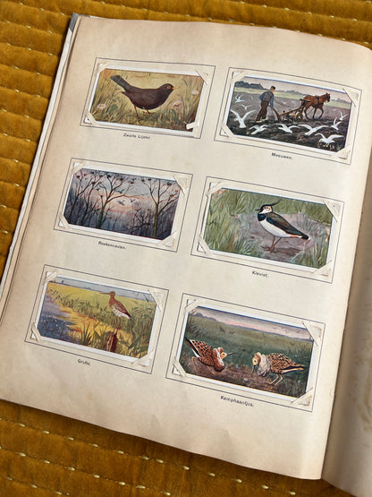 Lente Verkade Plaatjesalbum 1906