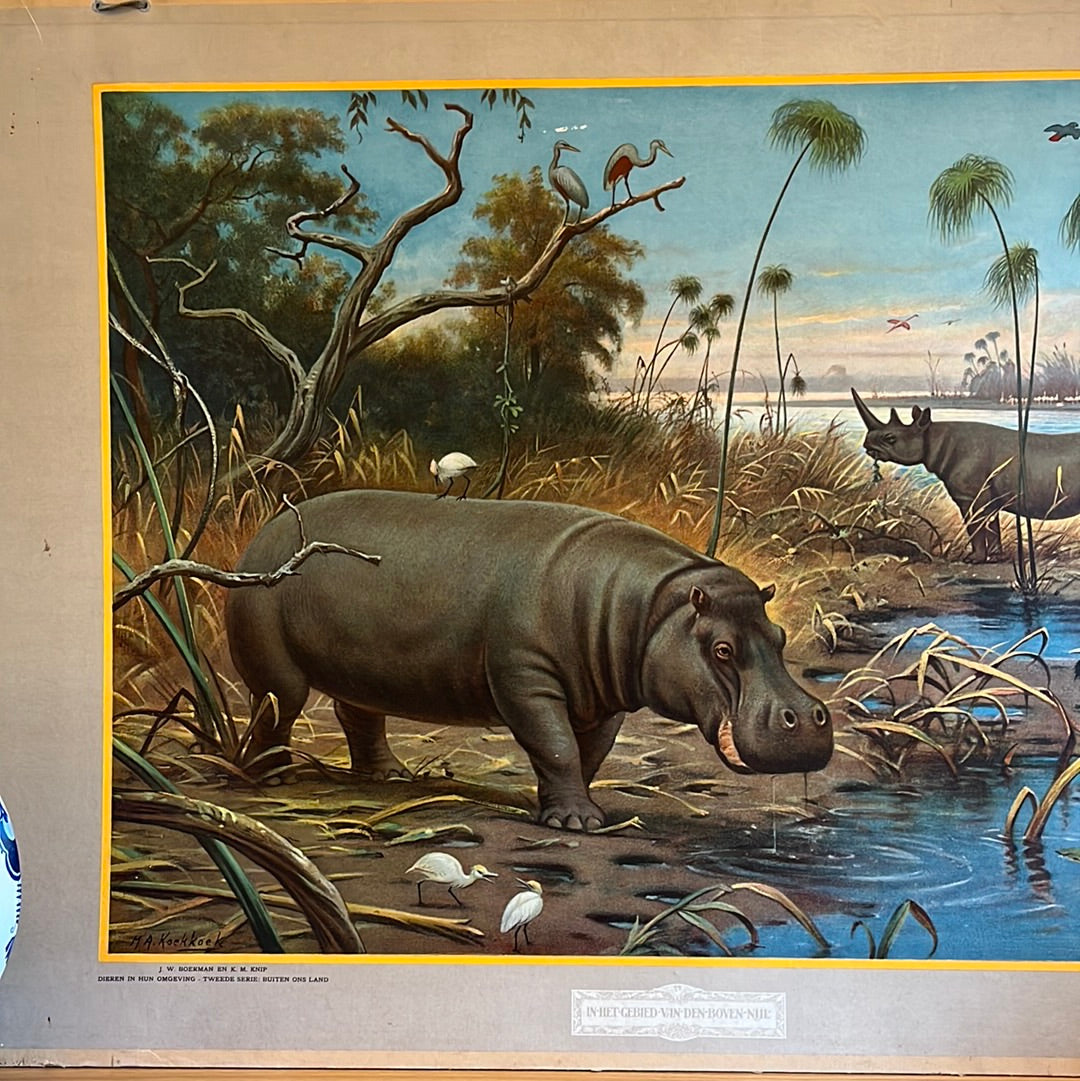 Vintage school poster Hippopotamus by MA Koekkoek In the area of ​​the Upper Nile
