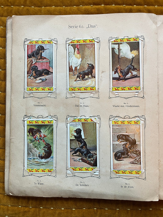 Verkade Plaatjesalbum 3 (1905) losse plaatjes Serie 62 Das