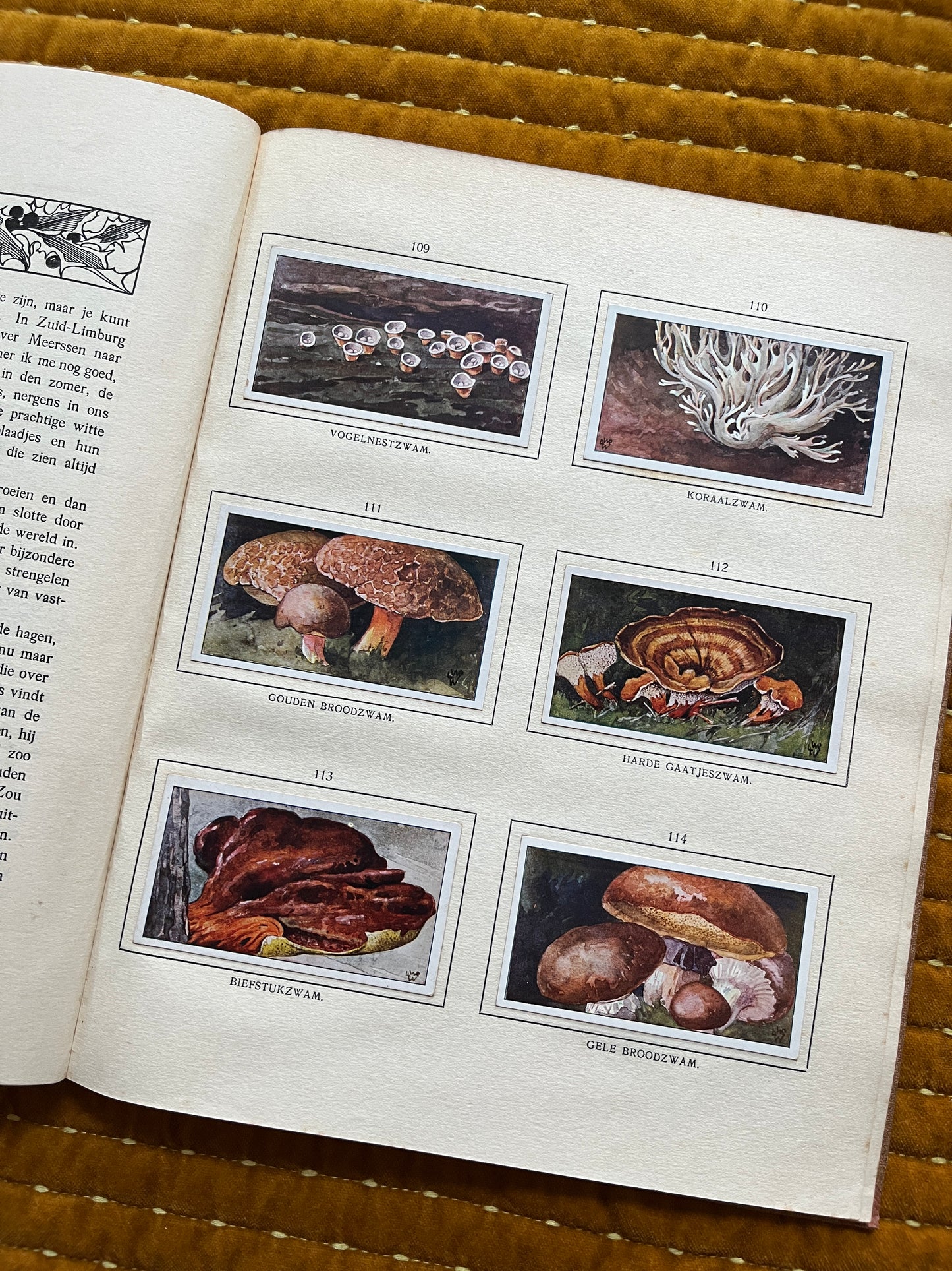 Bosch en Heide Verkade Plaatjesalbum 1913