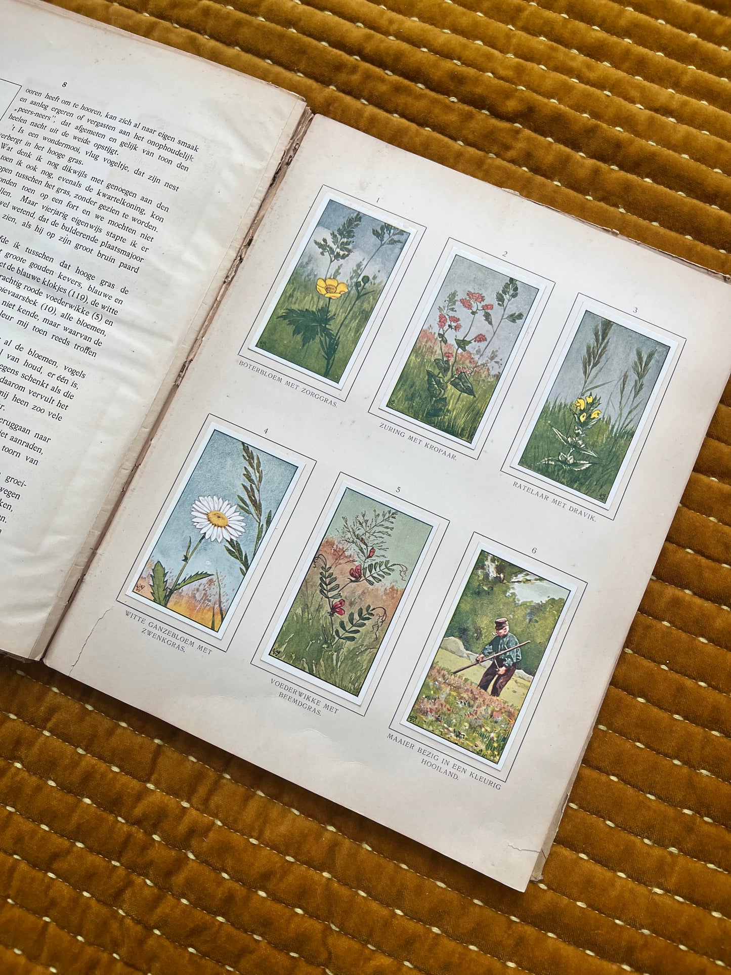 Zomer Verkade Plaatjesalbum 1907 (derde druk)