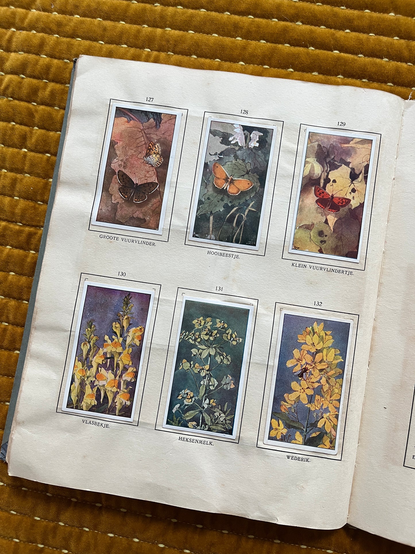 Das Bonte Wei Verkade-Bilderalbum 1911