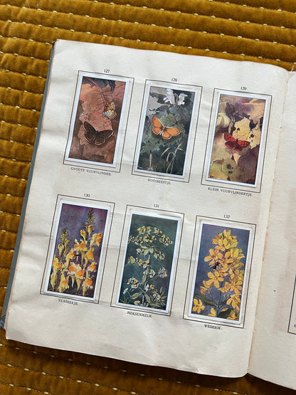 Das Bonte Wei Verkade-Bilderalbum 1911